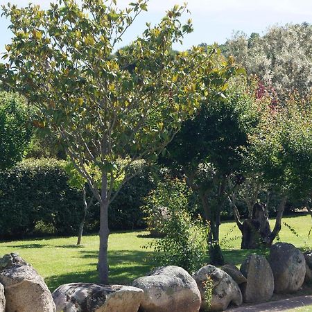 Les Jardins De Santa Giulia - Charmante Chambre D'Hote بورتو فيكشْيو المظهر الخارجي الصورة